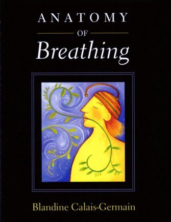 Anatomy Of Breathing