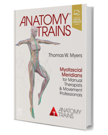 Anatomy Trains