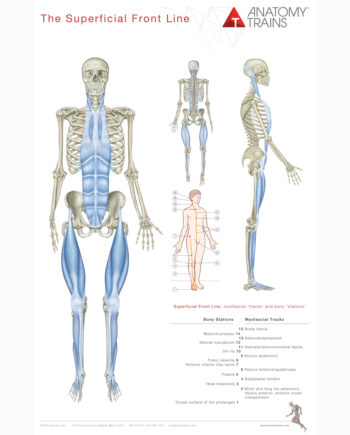 Anatomy Trains Plakater