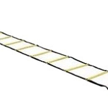 Aserve Agility Stige