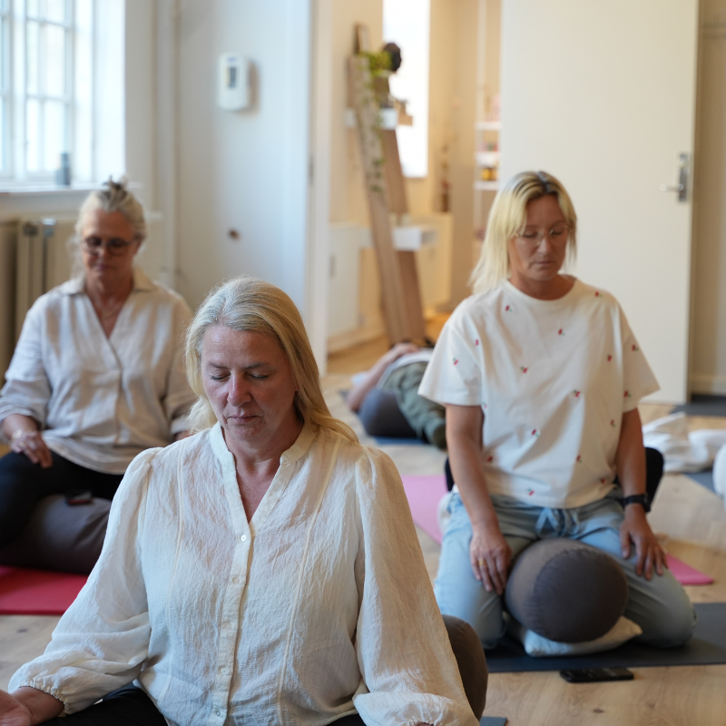 Hyperventilationsbaseret 29 11-26 Middelfart