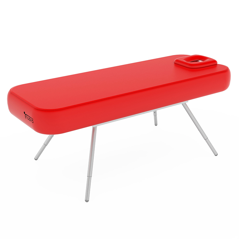 Nubispro Massagebriks Rød