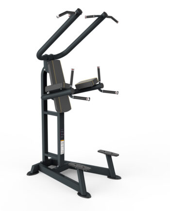 Odin Pro Chin Up Dip Leg Raise