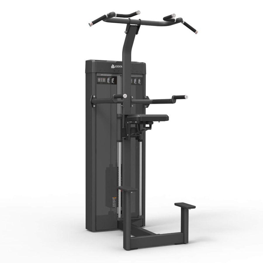 Odin Pro Dip Chin Assist 114kg
