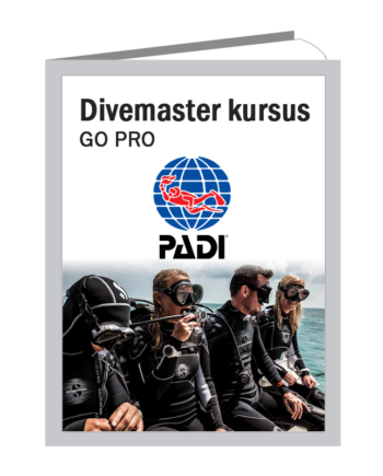 Padi Divemaster