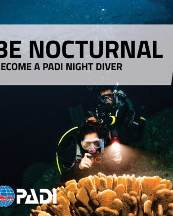 Padi Night Diver Specialty