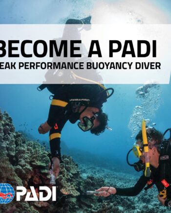 Padi Peak Performance Kursus