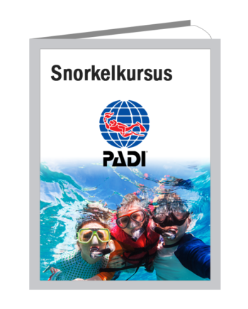 Padi Snorkelkursus   Pool