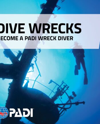 Padi Wreck Diver Specialty