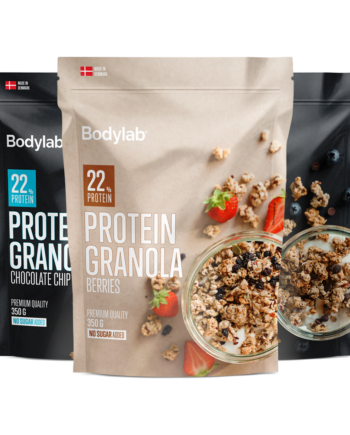 Protein Granola  350