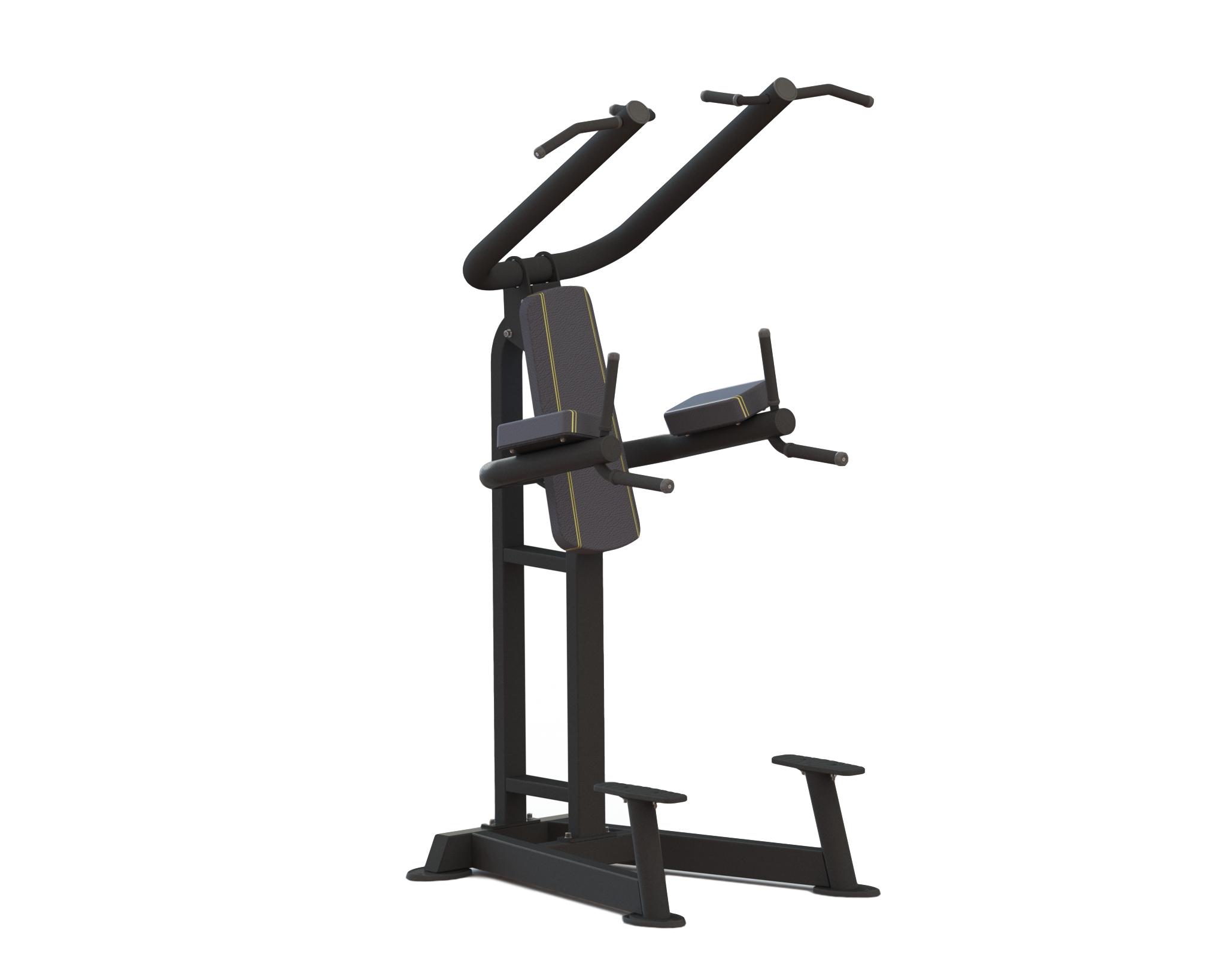 Relax Pro Fitness Relax Chin Up   Dip Ptt0219