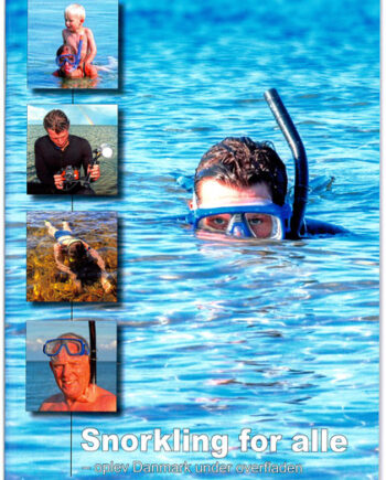 Snorkling For Alle-hæfte