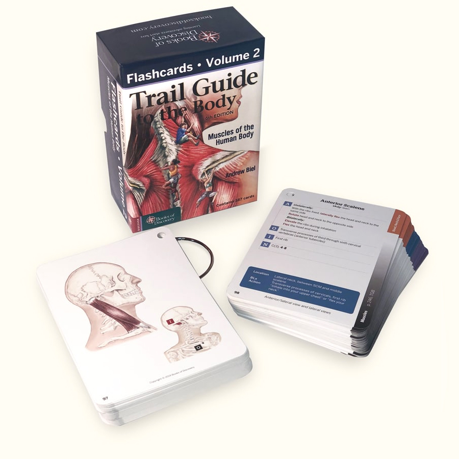Trail Guide To The Body Cards Muscles