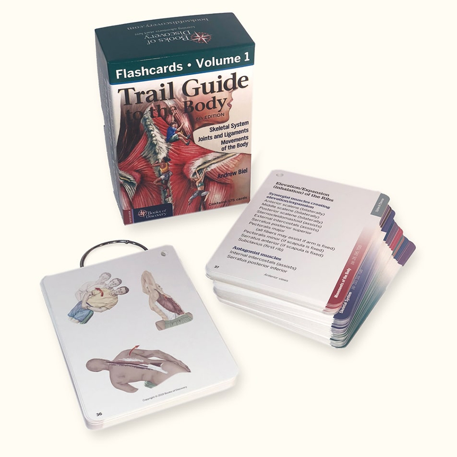 Trail Guide To The Body Cards Skeletal