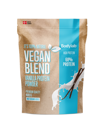 Vegan Protein Blend  400    Vanilla